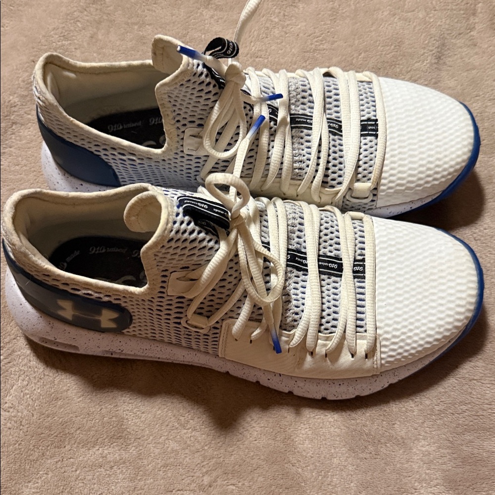 Under Armour HOVR Havoc Low Blue and white